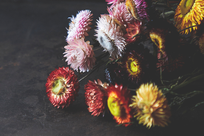 全面解析热门彩娱乐app的功能与特色，助你轻松上手