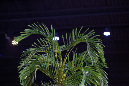 佳豪平台:开启全新在线交易体验的最佳选择