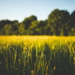 倚天娱乐的崛起:如何在竞争激烈的市场中脱颖而出 umklw7mcbp