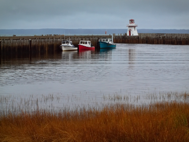 体验美高梅娱乐城：高端酒店与精彩表演的完美融合