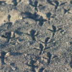 3684期彩票开奖结果最新公布,快来看看你中奖了吗? gn4inhm