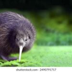 36选7开奖时间公布,每周何时揭晓幸运号码? jul4rd8